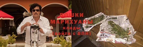 МДПВ Богородск