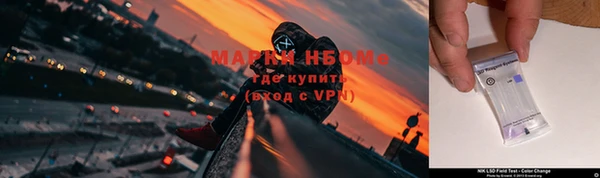 молекула духа Бронницы
