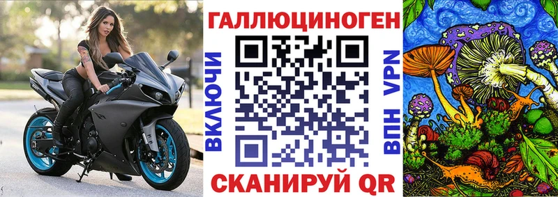 Псилоцибиновые грибы Psilocybe  Купить закладки  Куйбышев 